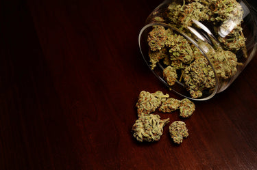 Fermentation & Aufbewahrung von Cannabis, Beutel, Dosen, Gläser, Braunglas, Silikoncontainer
