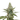 AMNESIA HAZE Auto Cannabis-Samen