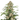 ORANGE BUD Auto Cannabis-Samen