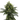 BLACK DOMINA Auto Cannabis-Samen