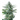 WHITE WIDOW Auto Cannabis-Samen