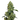 OG KUSH Auto Cannabis-Samen