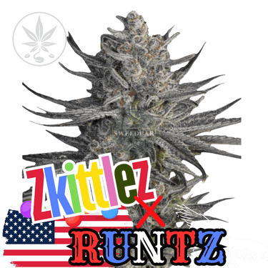 Runtz x Zkittlez Cannabis-Samen