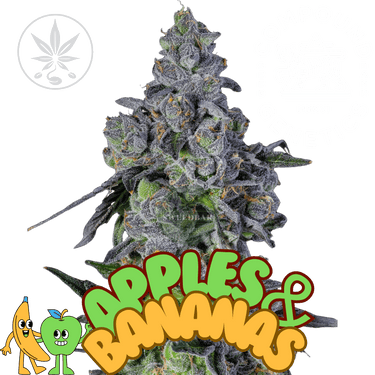 Apples & Bananas - Compound Genetics
