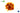 ADDIPURE pure extract