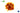 ADDIPURE pure extract