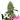 OG KUSH Auto Cannabis-Samen