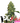 OG KUSH Auto Cannabis-Samen