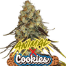 Animal Cookies Cannabis-Samen