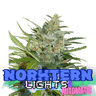 NORTHERN LIGHTS Auto Cannabis-Samen