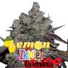 Lemon x Skittlez x Domina Cannabis-Samen