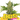CHEESE Auto Cannabis-Samen