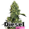 DIESEL Auto Cannabis-Samen