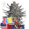 Runtz x Zkittlez Cannabis-Samen