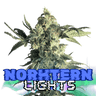 Northern Lights Cannabis-Samen