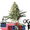 Runtz x Skywalker OG Cannabis-Samen