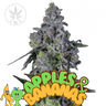 Apples & Bananas - Compound Genetics