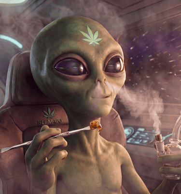 Selfmade420 - aktuelle Rabatt-Aktion Juli 2026, Happy 7.10