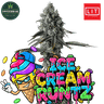 ICE CREAM RUNTZ Steckling