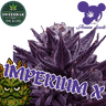 Imperium X Steckling