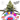 Rainbow Sherbert 11 - Blimburn Seeds