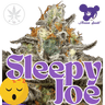 Sleepy Joe -Anesia Seeds