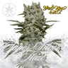 Super Silver Haze - Green House Seeds