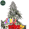 Zkittlez x Dosidos Cannabis-Samen
