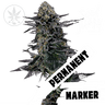 PERMANENT MARKER Steckling
